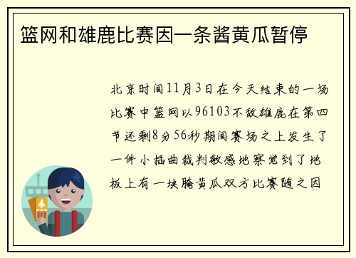 篮网和雄鹿比赛因一条酱黄瓜暂停