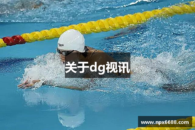 关于dg视讯